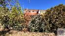 Villa in vendita con giardino a Ponzone in localit� colafee 100 - 03, Rif 1895(Copy39).jpg