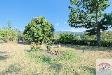 Villa in vendita con giardino a Sassello - 06, rif 0719(Copy56).jpg