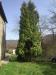 Casa indipendente in vendita a Sassello - piampaludo - 04, Rif 790 4.JPG