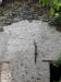 Casa indipendente in vendita da ristrutturare a Giusvalla - 06, 20160608_110308.jpg