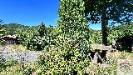 Casa indipendente in vendita con giardino a Sassello in localit� miera 4 - 02, Rif 1909(Copy11)