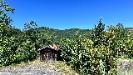 Casa indipendente in vendita con giardino a Sassello in localit� miera 4 - 03, Rif 1909(Copy10)