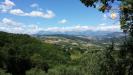 Terreno in vendita a Montalto delle Marche - 04