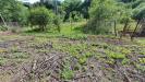 Casa indipendente in vendita con giardino a Venarotta in via venarottese - campagna - 06