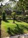 Casa vacanza in affitto da privato con giardino a San Teodoro - 04