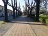 Appartamento in vendita a Borgo San Lorenzo - 02