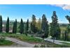 Villa in vendita con giardino a Siena - isola d'arbia - 03