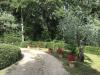Casa indipendente in vendita con giardino a Capolona - 04