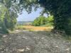 Terreno Agricolo in vendita a Narni in strada di camartana - 03, Foto 3