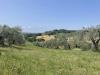 Terreno Agricolo in vendita a Narni in strada di camartana - 06, Foto 6