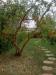 Appartamento in vendita con giardino a Capalbio in via piemonte - 04, Foto 4