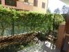 Appartamento bilocale in vendita con giardino a Roncello in via montale - 08