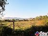 Terreno Agricolo in vendita a Fondi in via flacca km 8400 55 - 03, Foto 3