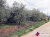 Terreno Agricolo in vendita a Fondi in via cesullo 333 - 02, Foto 12