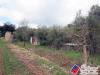 Terreno Agricolo in vendita a Fondi in via cesullo 333 - 06, Foto 16