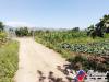 Terreno Agricolo in vendita a Fondi in via portaturo 18 - 06, Foto 19