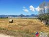 Terreno Agricolo in vendita a Fondi in via dei moi - 03, Foto 12