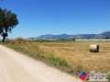 Terreno Agricolo in vendita a Fondi in via dei moi - 04, Foto 13
