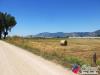 Terreno Agricolo in vendita a Fondi in via dei moi - 05, Foto 14