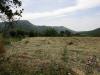 Terreno Agricolo in vendita a Fondi in via casoni - 05, Foto 15