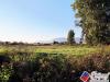 Terreno Agricolo in vendita a Fondi in via strada consortile - 05, Foto 5