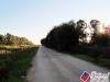 Terreno Agricolo in vendita a Fondi in via strada consortile - 06, Foto 6