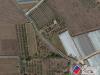 Terreno Agricolo in vendita a Fondi in via fontanella san marco - 03, Foto 3