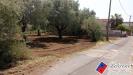 Terreno Agricolo in vendita a Fondi in via s.anastasia - 04, Foto 4