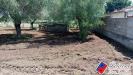 Terreno Agricolo in vendita a Fondi in via s.anastasia - 06, Foto 6