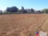 Terreno Agricolo in vendita a Fondi in via covino - 02, Foto 2