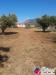 Terreno Agricolo in vendita a Fondi in via covino - 06, Foto 6