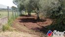 Terreno Agricolo in vendita a Fondi in via s.anastasia - 03, Foto 3