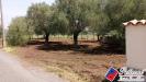 Terreno Agricolo in vendita a Fondi in via s.anastasia - 07, Foto 7