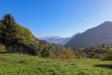 Terreno Agricolo in vendita a Cerano d'Intelvi - 02, 2.jpg