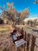 Villa in vendita con giardino a Formello - 10, esterno 10.jpeg