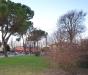 Casa indipendente in vendita con giardino a Carbonera in via giorgione - 05, Foto 5