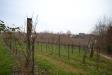 Terreno Agricolo in vendita a Nervesa della Battaglia in via dei frati - 02, Foto 2
