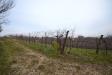Terreno Agricolo in vendita a Nervesa della Battaglia in via dei frati - 04, Foto 4