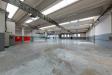 Capannone in affitto con box doppio in larghezza a Pozzuolo Martesana - 10, RU4B8797-1.jpg