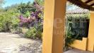 Villa in vendita con giardino a Santa Teresa Gallura - 08, IMG_5108.jpeg