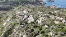 Terreno Agricolo in vendita a Santa Teresa Gallura - 06, dji_fly_20240319_133220_0012_1722593704061_photo.j