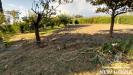Villa in vendita con giardino a San Giuliano Terme - pontasserchio - 06