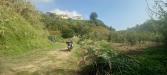 Terreno Agricolo in vendita a Napoli in via vicinale angogna - 05, Foto 5