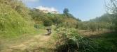 Terreno Agricolo in vendita a Napoli in via vicinale angogna - 06, Foto 6