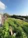Terreno Agricolo in vendita a Napoli in via vicinale paradiso - 04, Foto 4