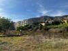 Terreno Agricolo in affitto a Napoli in via paolo grimaldi - 04, Foto 4