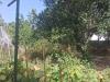 Terreno Agricolo in vendita a Napoli in via vicinale pietro micca - 06, Foto 6