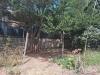 Terreno Agricolo in vendita a Napoli in via vicinale pietro micca - 07, Foto 7