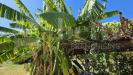 Terreno Agricolo in vendita a Pozzuoli - 10, WhatsApp Image 2026-09-24 at 15.18.13 (8).jpeg