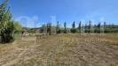 Terreno Agricolo in vendita a Pozzuoli - 06, WhatsApp Image 2026-09-24 at 15.18.13 (3).jpeg